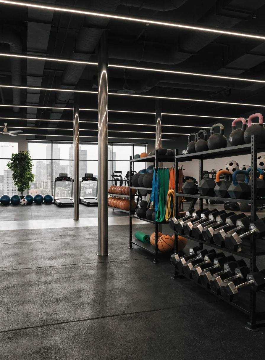 Attrezzatura sportiva da palestra
